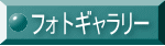 フォトギャラリー