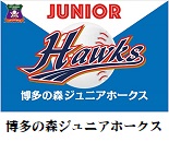 博多の森ジュニアホークス